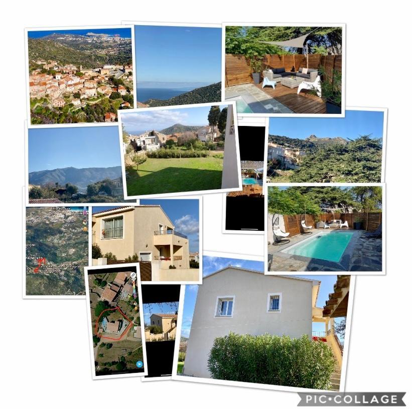 Villa Chjosella 150M2 Piscine Et Au Calme Santa-Reparata-di-Balagna Extérieur photo
